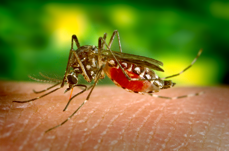 Battling Seasonal Fevers in India: Expert Care by Dr. Sagar’s Clinic